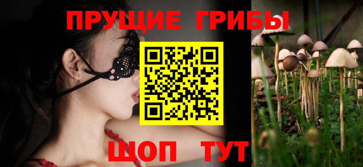 Псилоцибиновые грибы Cubensis Тельмана